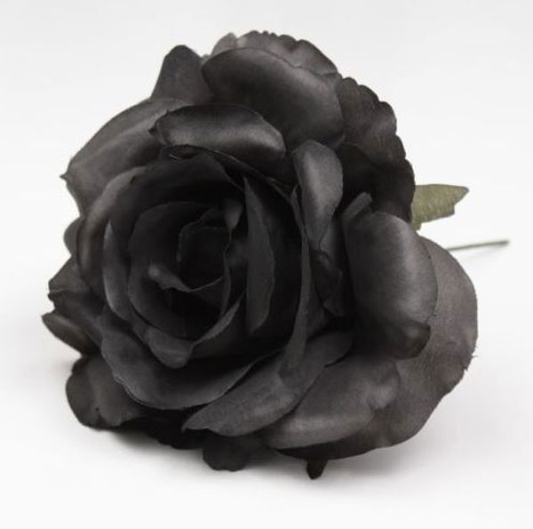 Petite rose de Cadix. 10cm. Noir